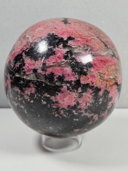 Rodoniet bol 1262 gram