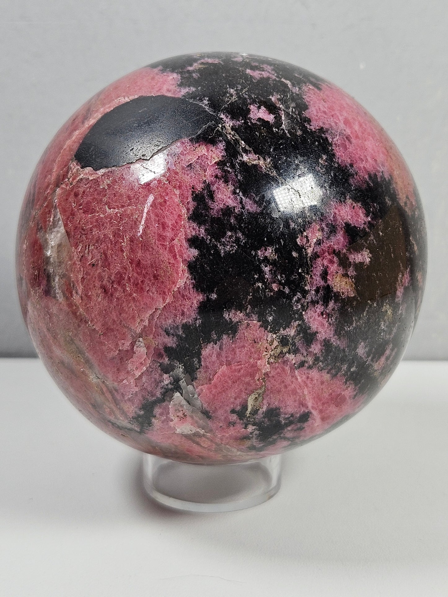 Rodoniet bol 1262 gram