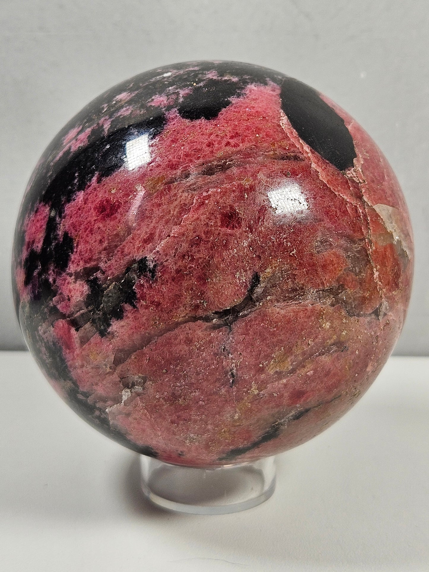 Rodoniet bol 1262 gram