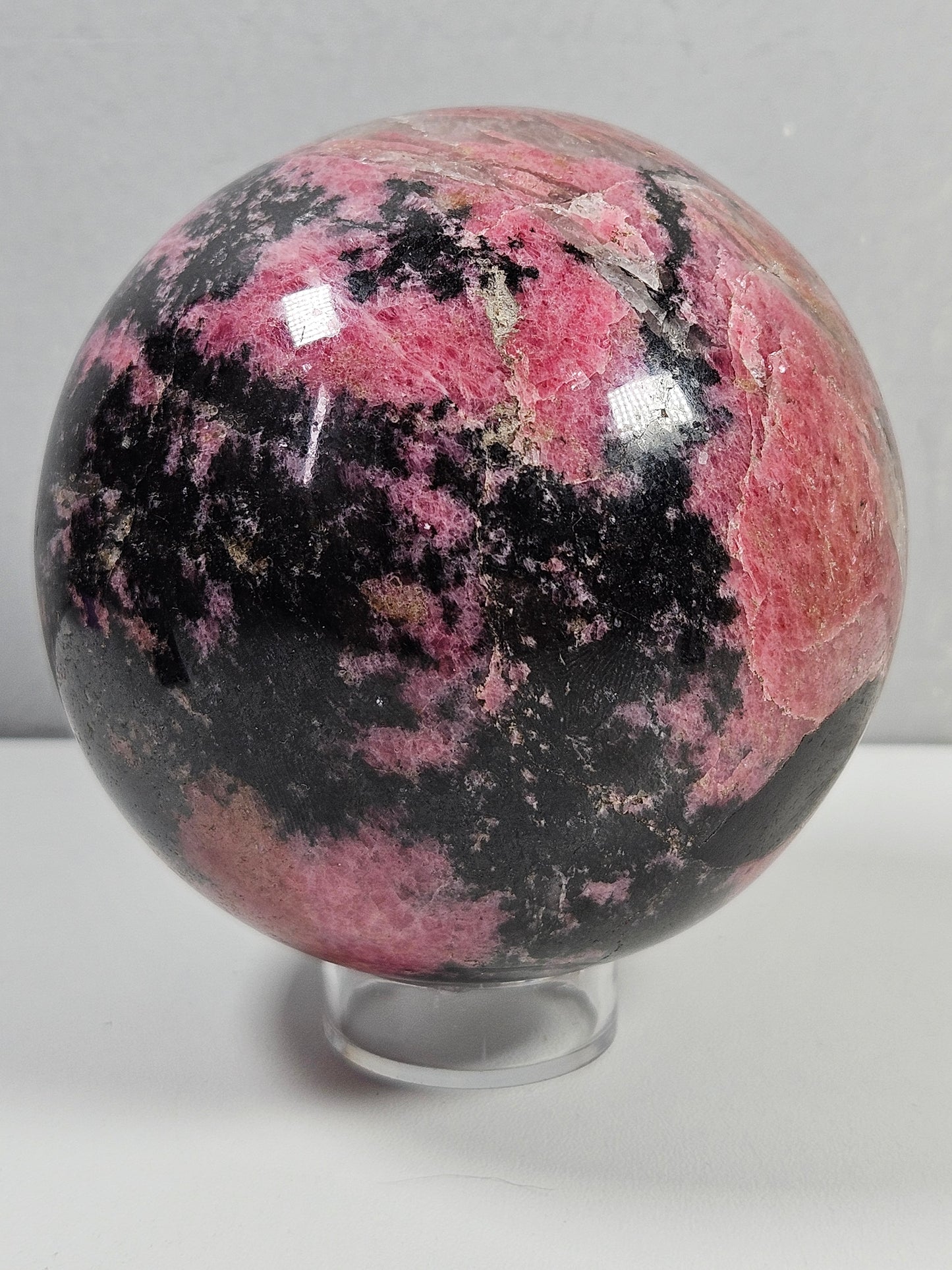 Rodoniet bol 1262 gram