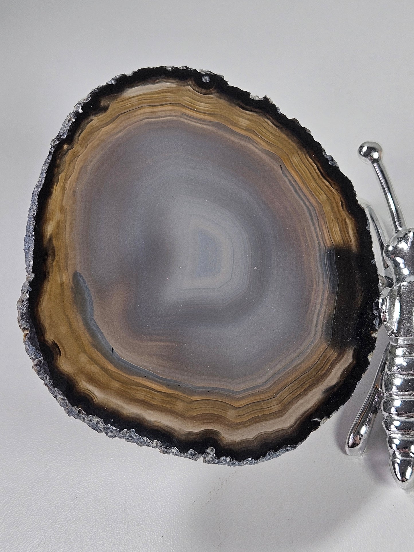 Agaat vlinder zilver nr2