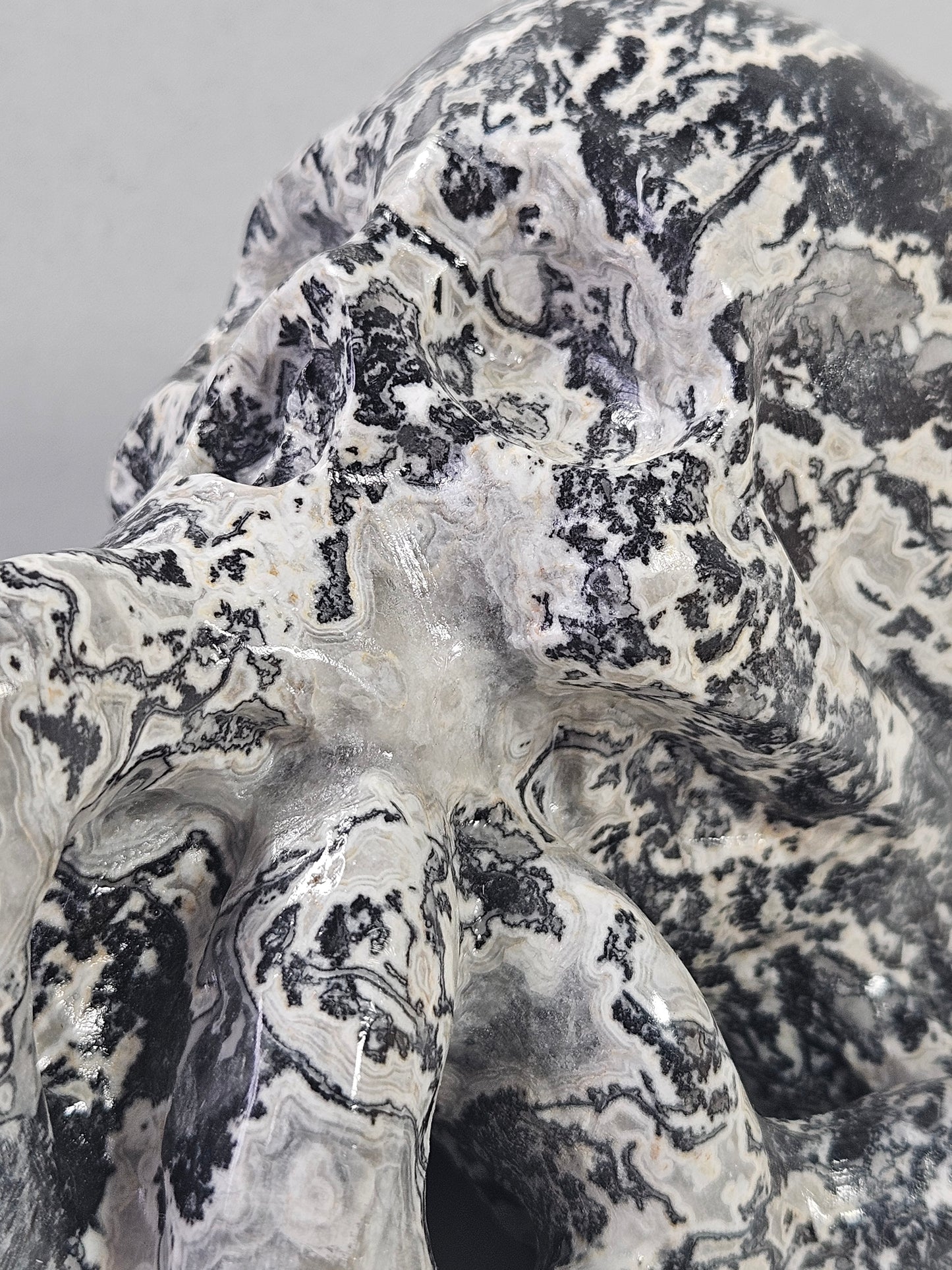 Picasso Jaspis octopusskull