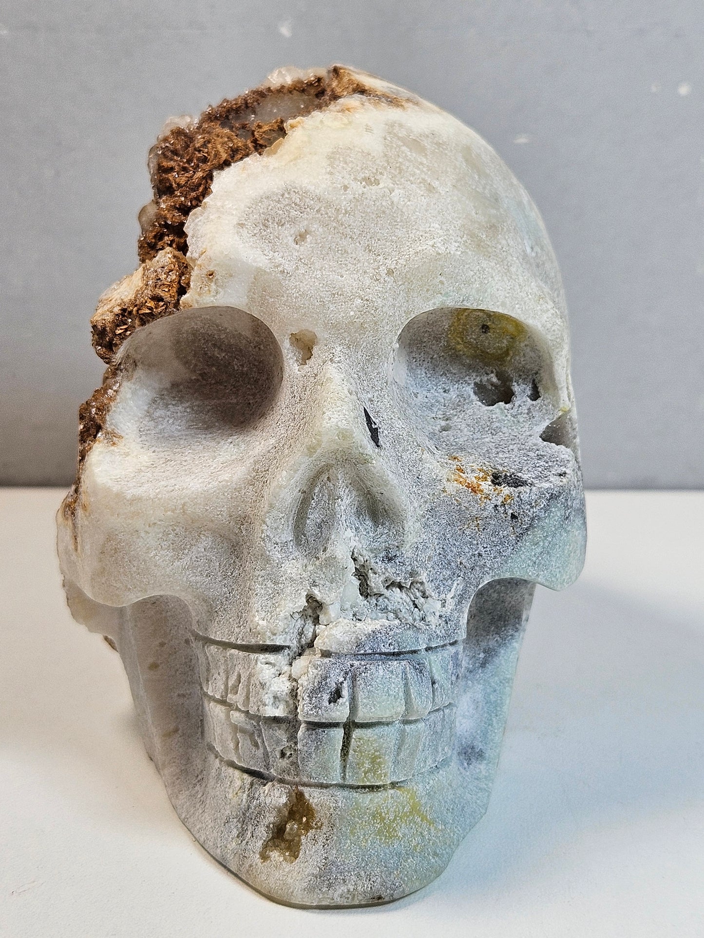 Calciet Schedel 1200 gram