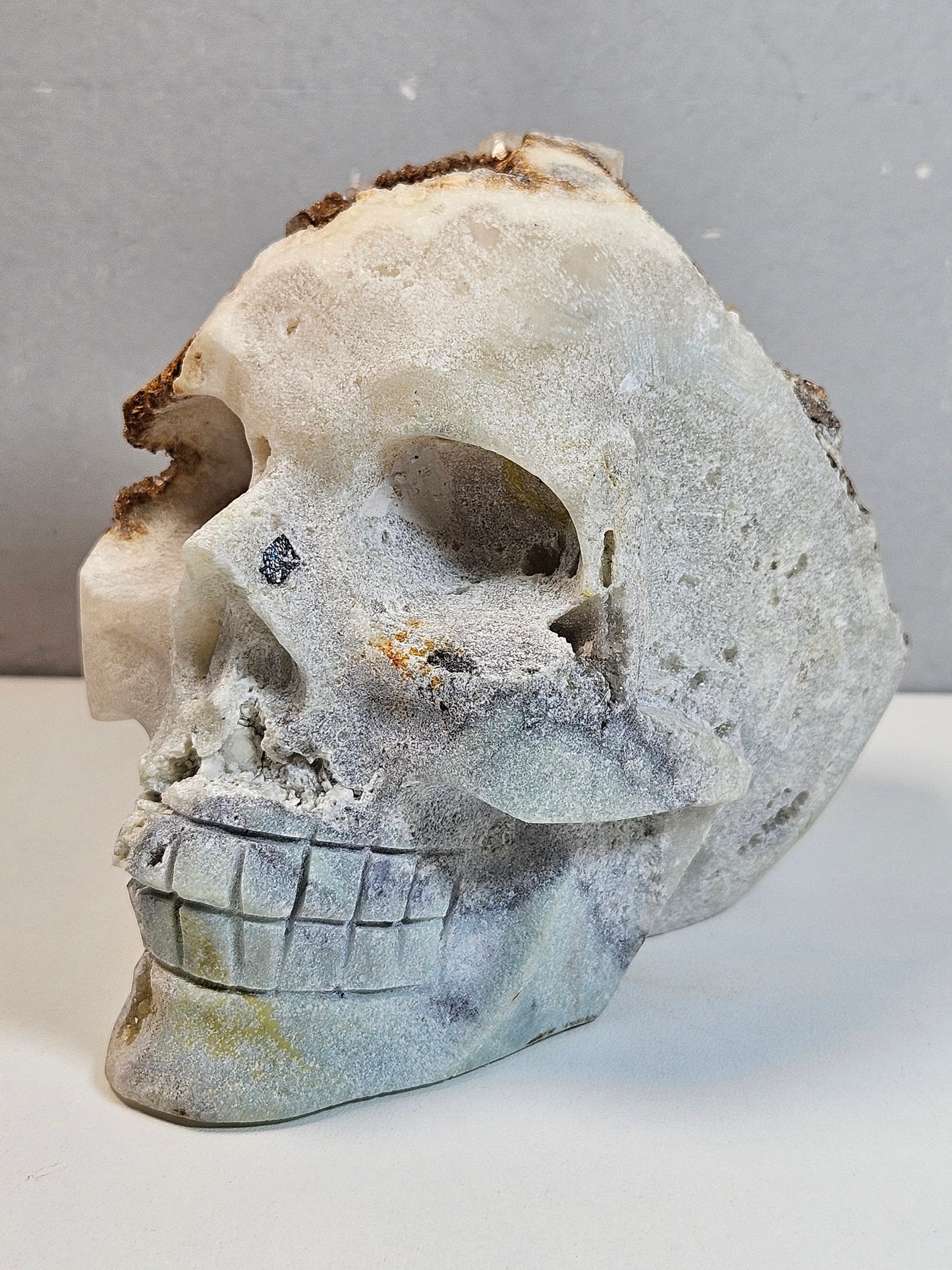 Calciet Schedel 1200 gram