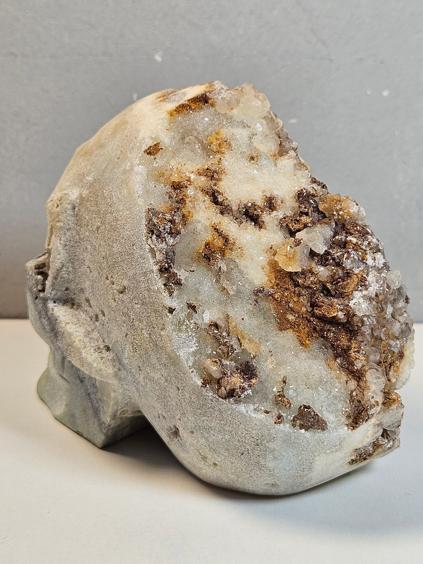 Calciet Schedel 1200 gram