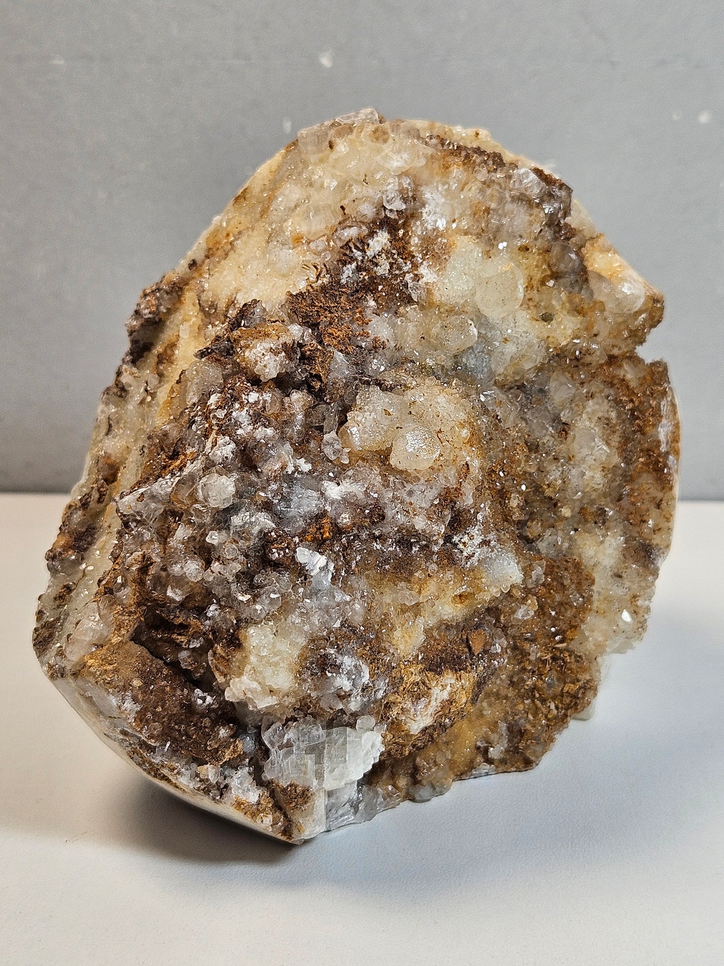 Calciet Schedel 1200 gram
