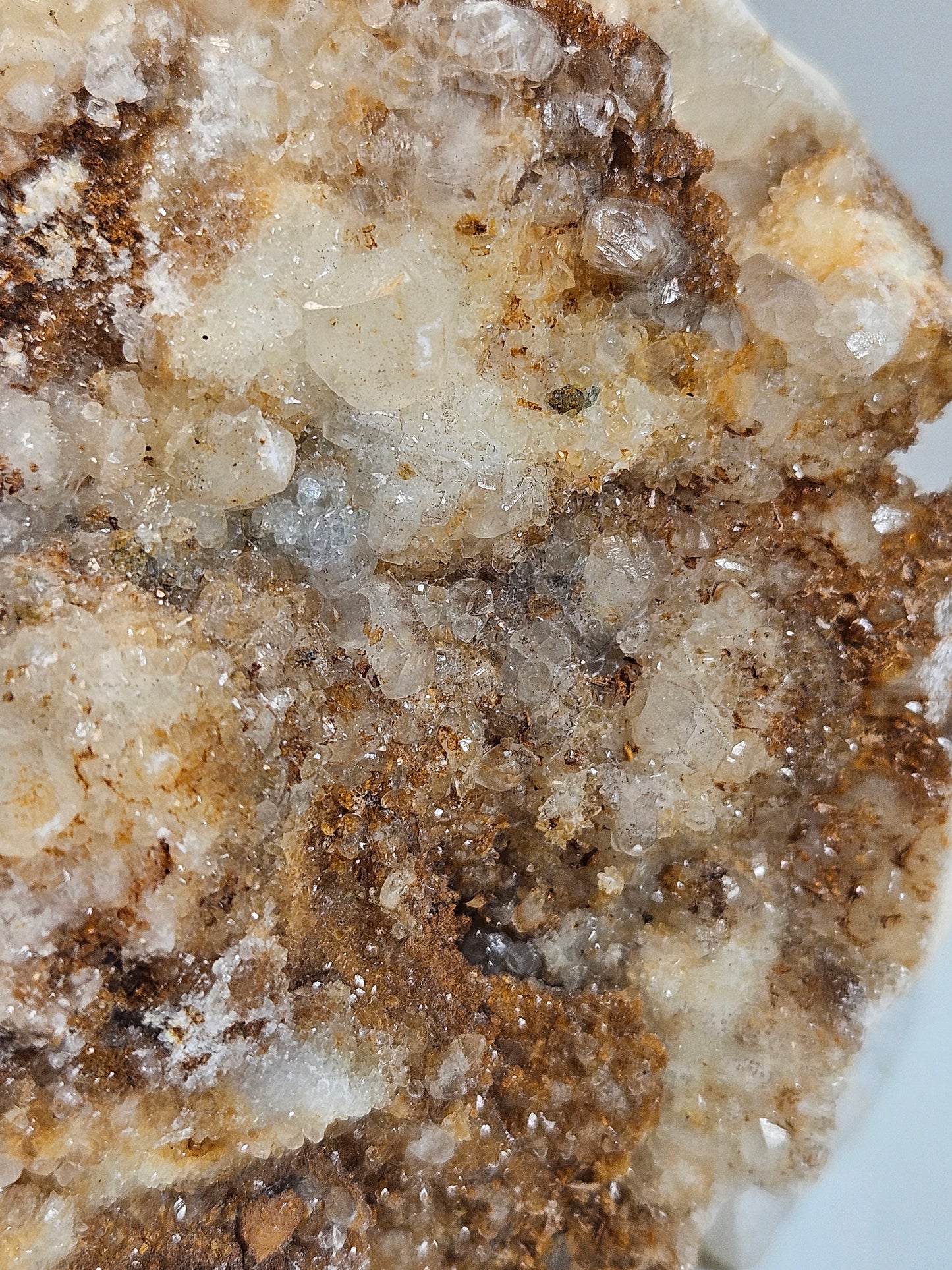 Calciet Schedel 1200 gram