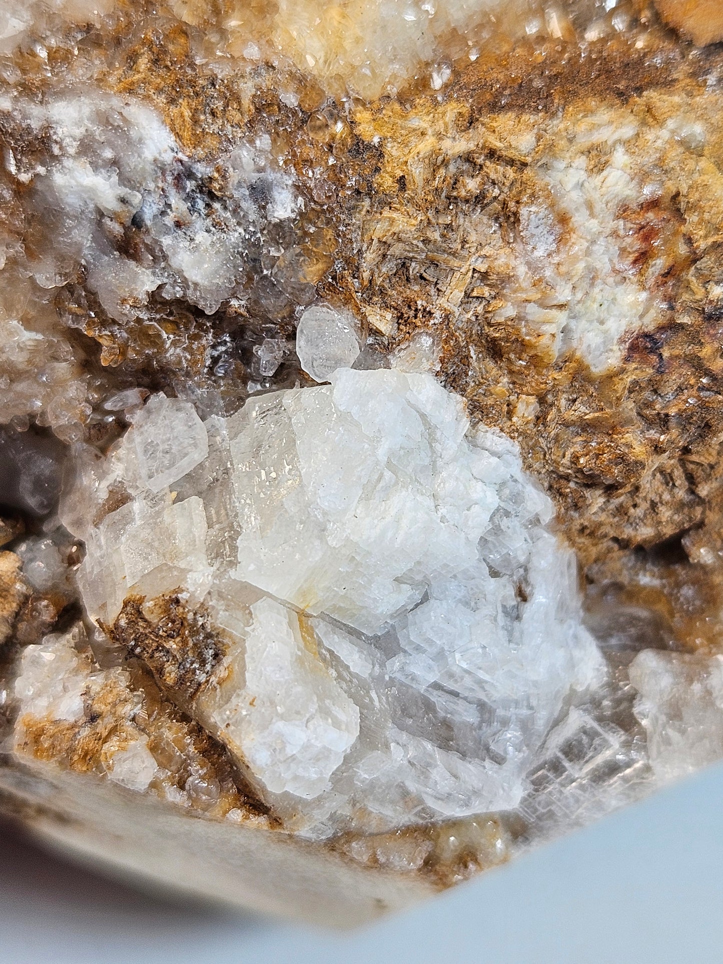 Calciet Schedel 1200 gram