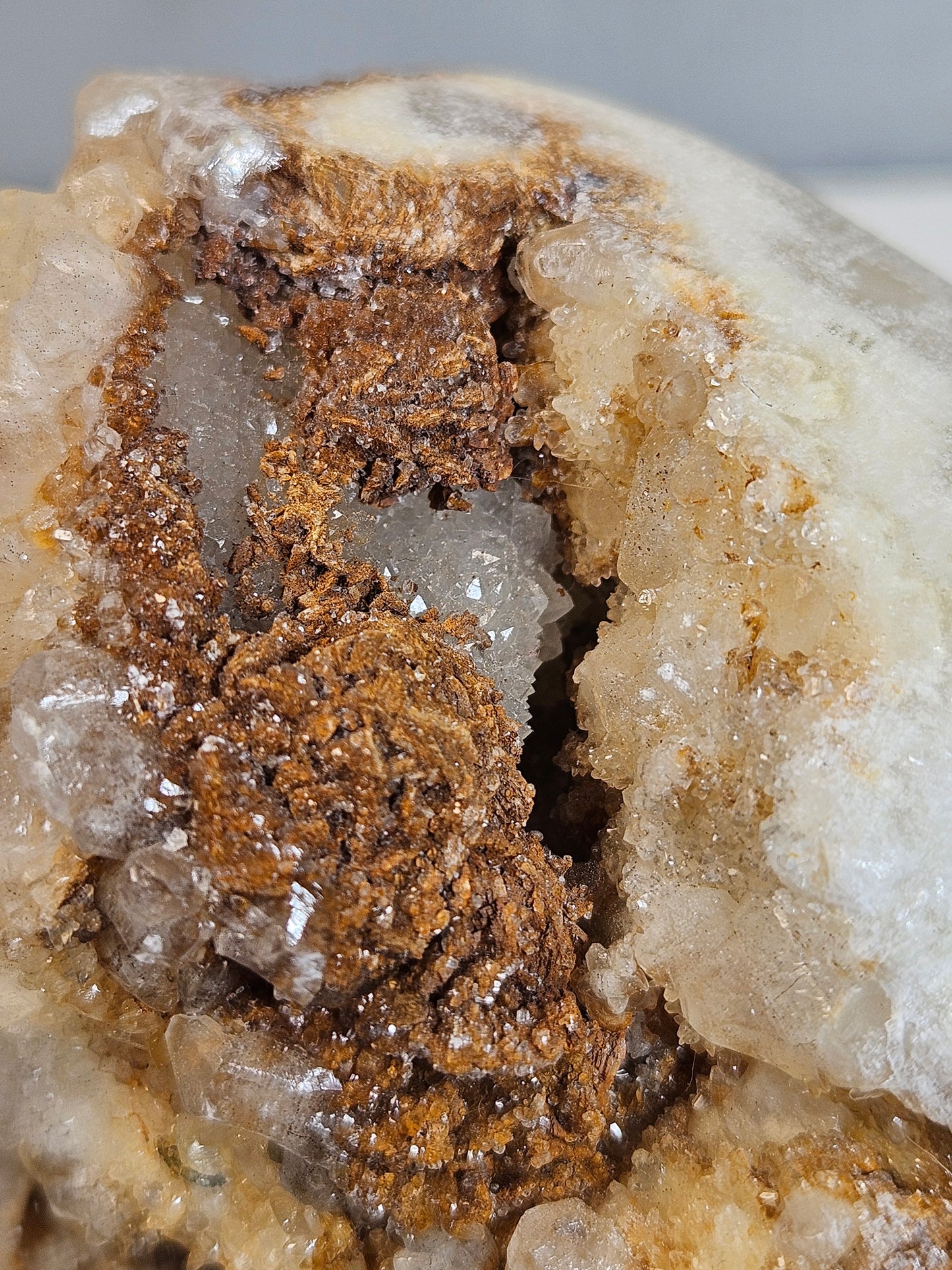 Calciet Schedel 1200 gram