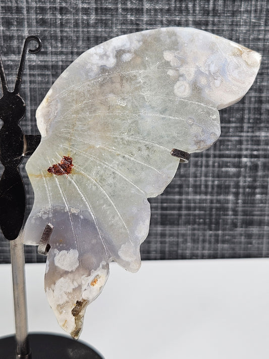 Bloemagaat vlinder Z6P