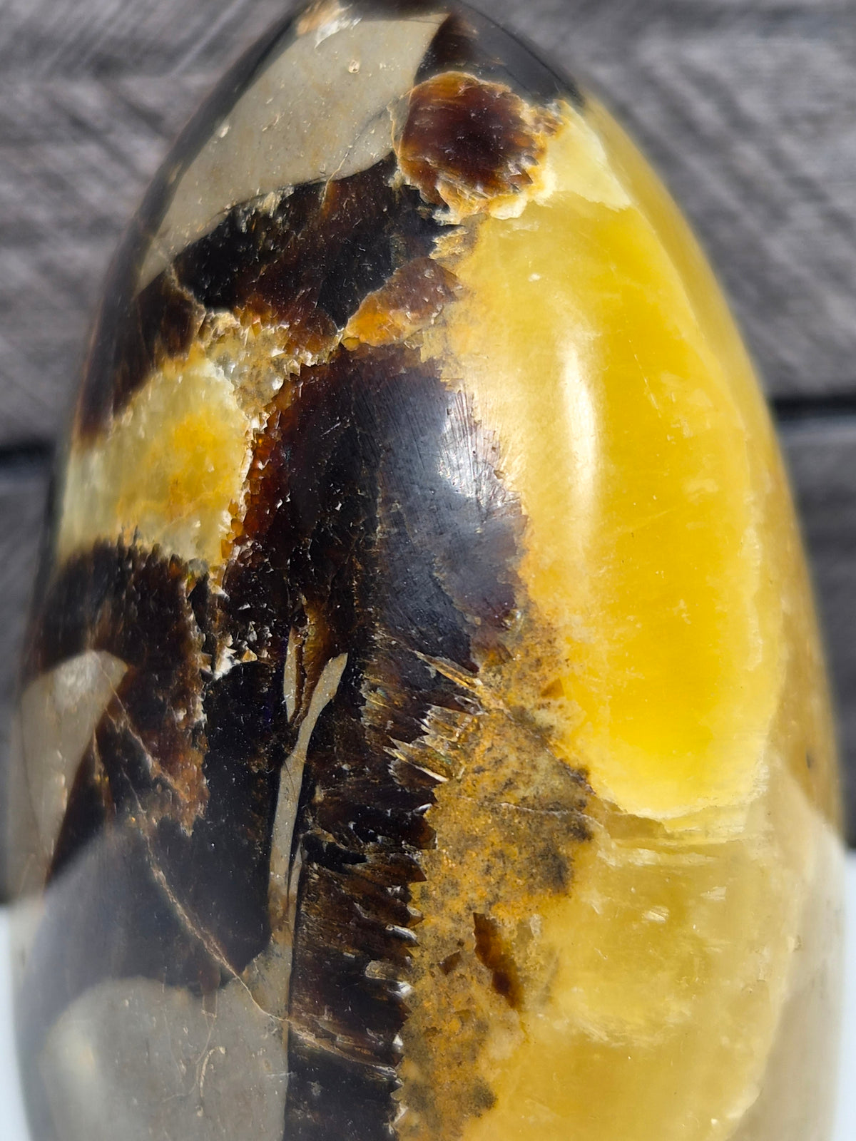 Septarie Sculptuur 472 gram