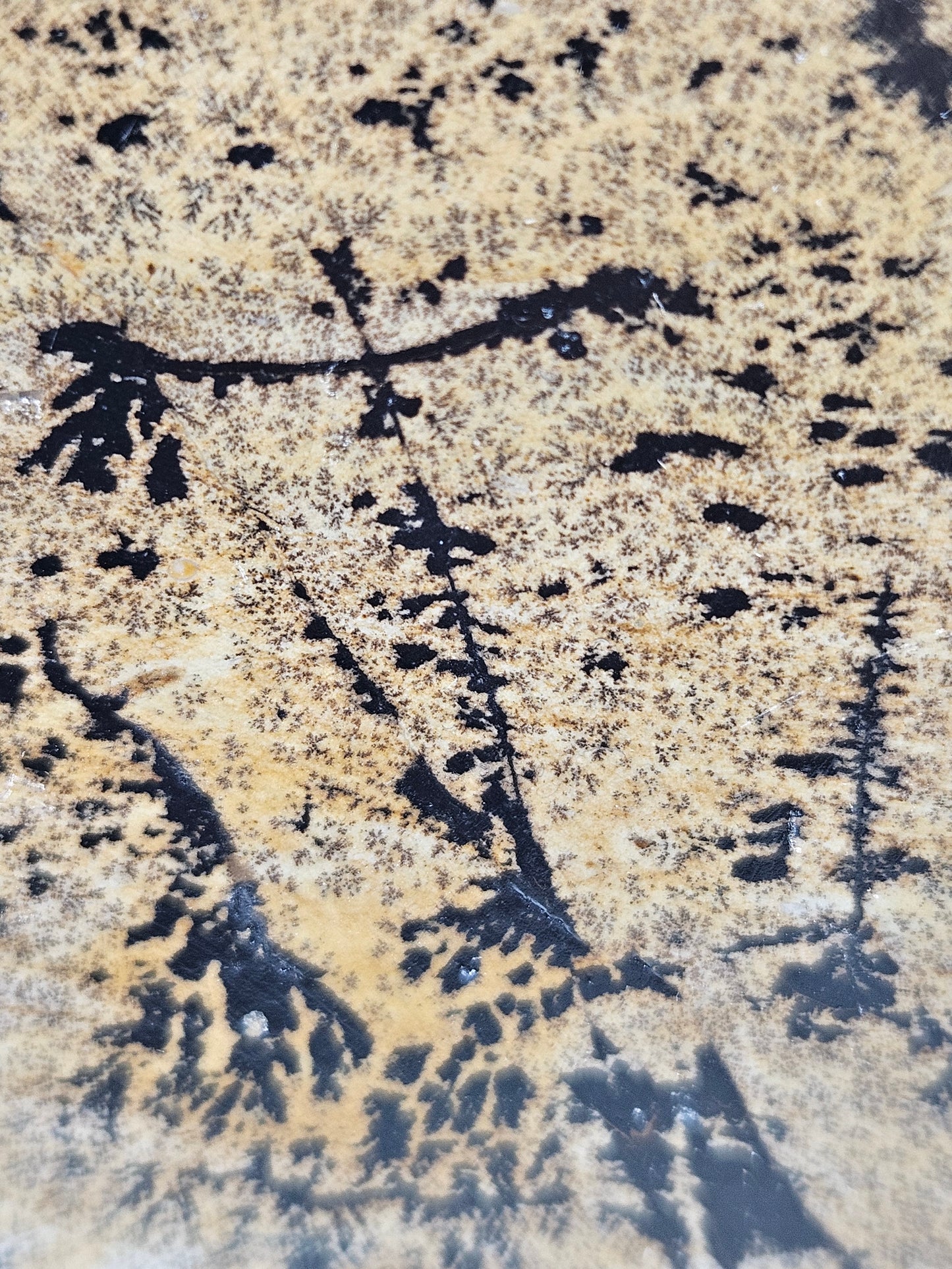 Landschapsjaspis slab 418 gram