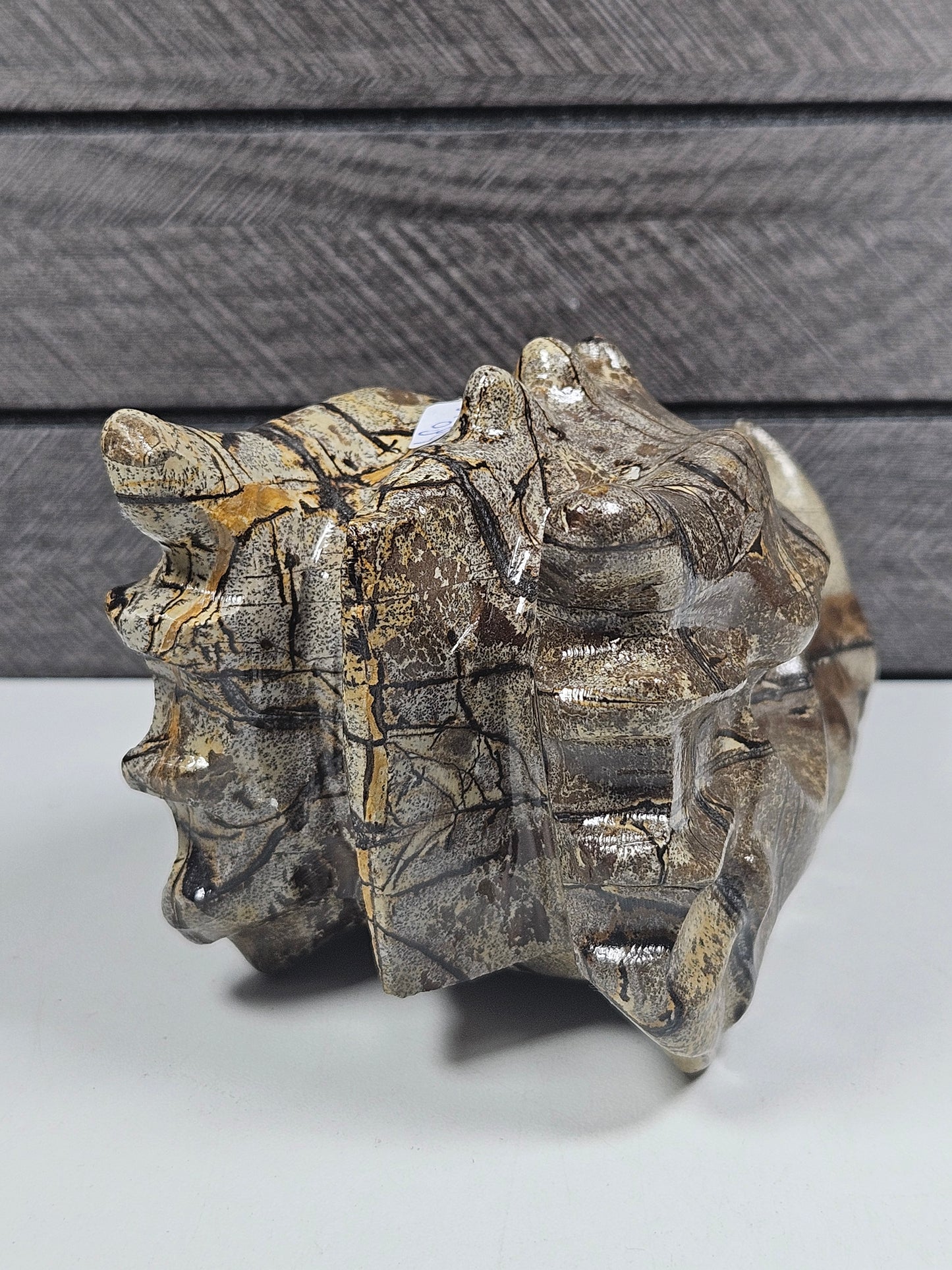 Landschap Jaspis Drakenkop 680 gram