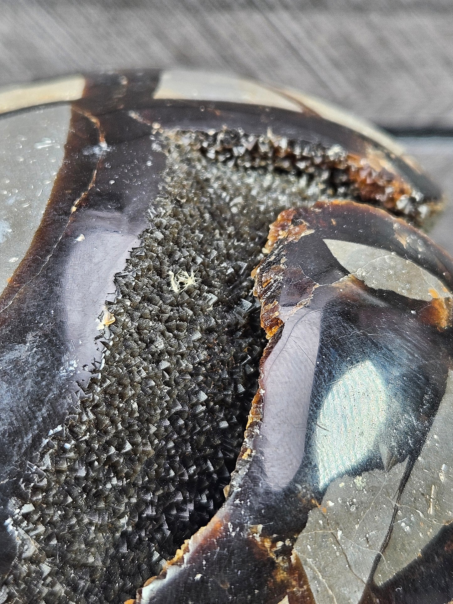 Septarie bol 1500 gram