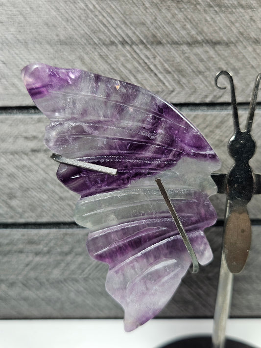 Fluoriet vlinder nr16