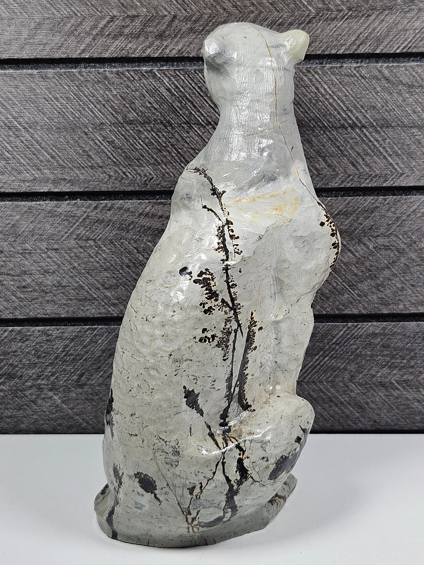 Landschap Jaspis luipaard 598 gram