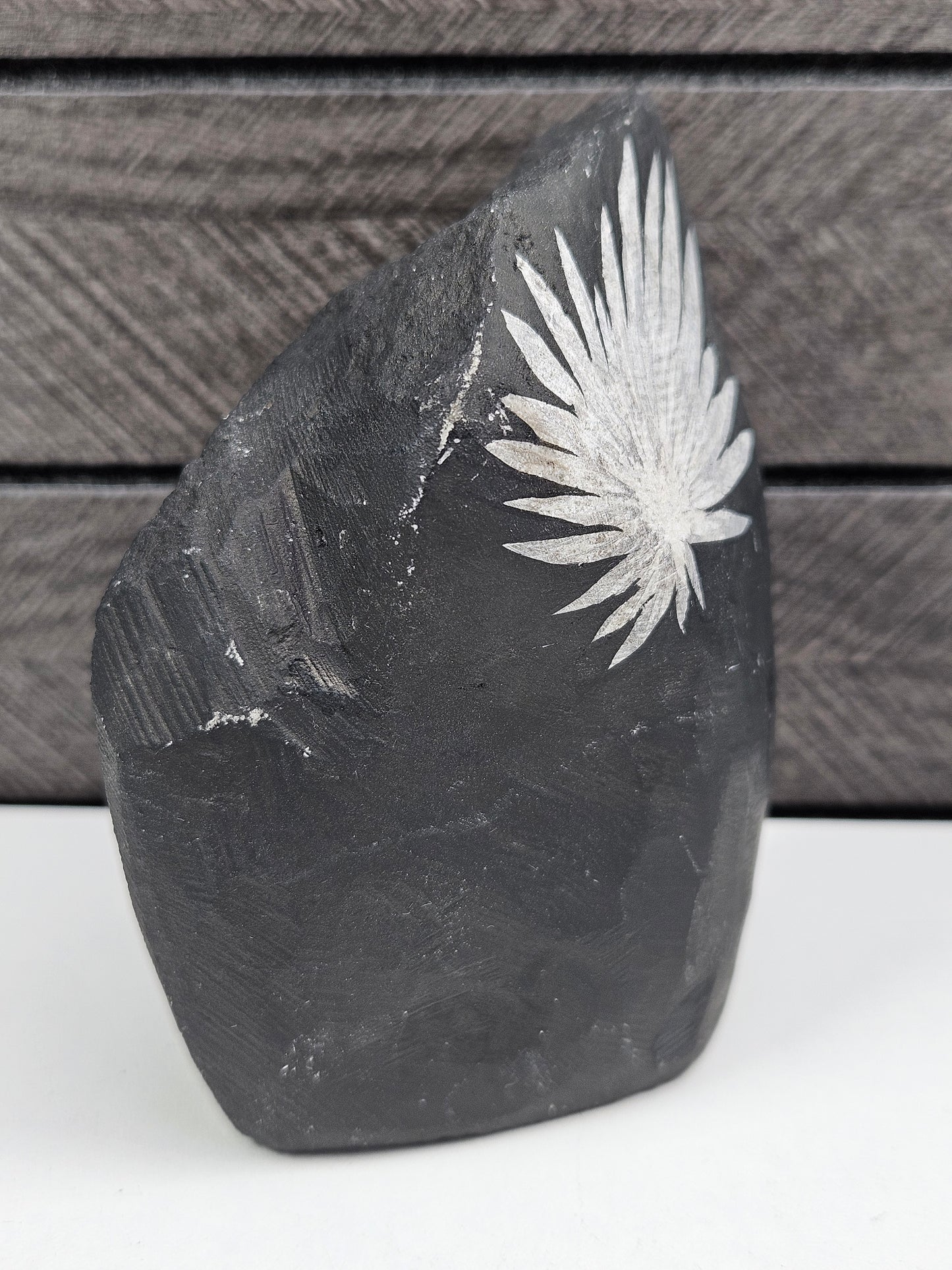 Chysanthemum op standvlak 310 gram