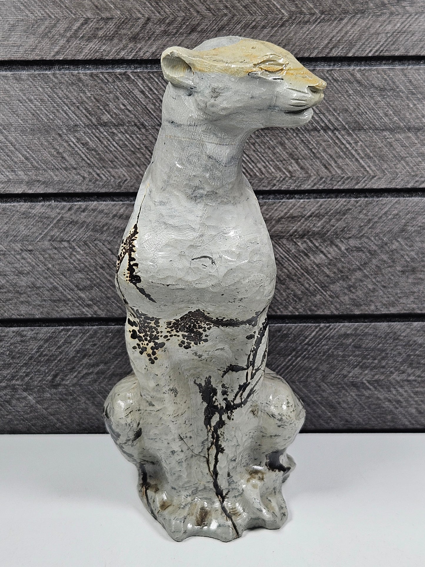 Landschap Jaspis luipaard 598 gram
