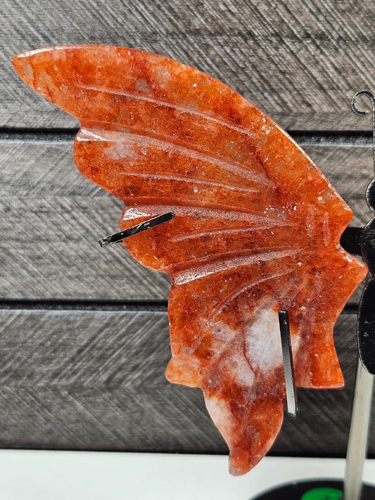 Vuurkwarts vlinder Q8