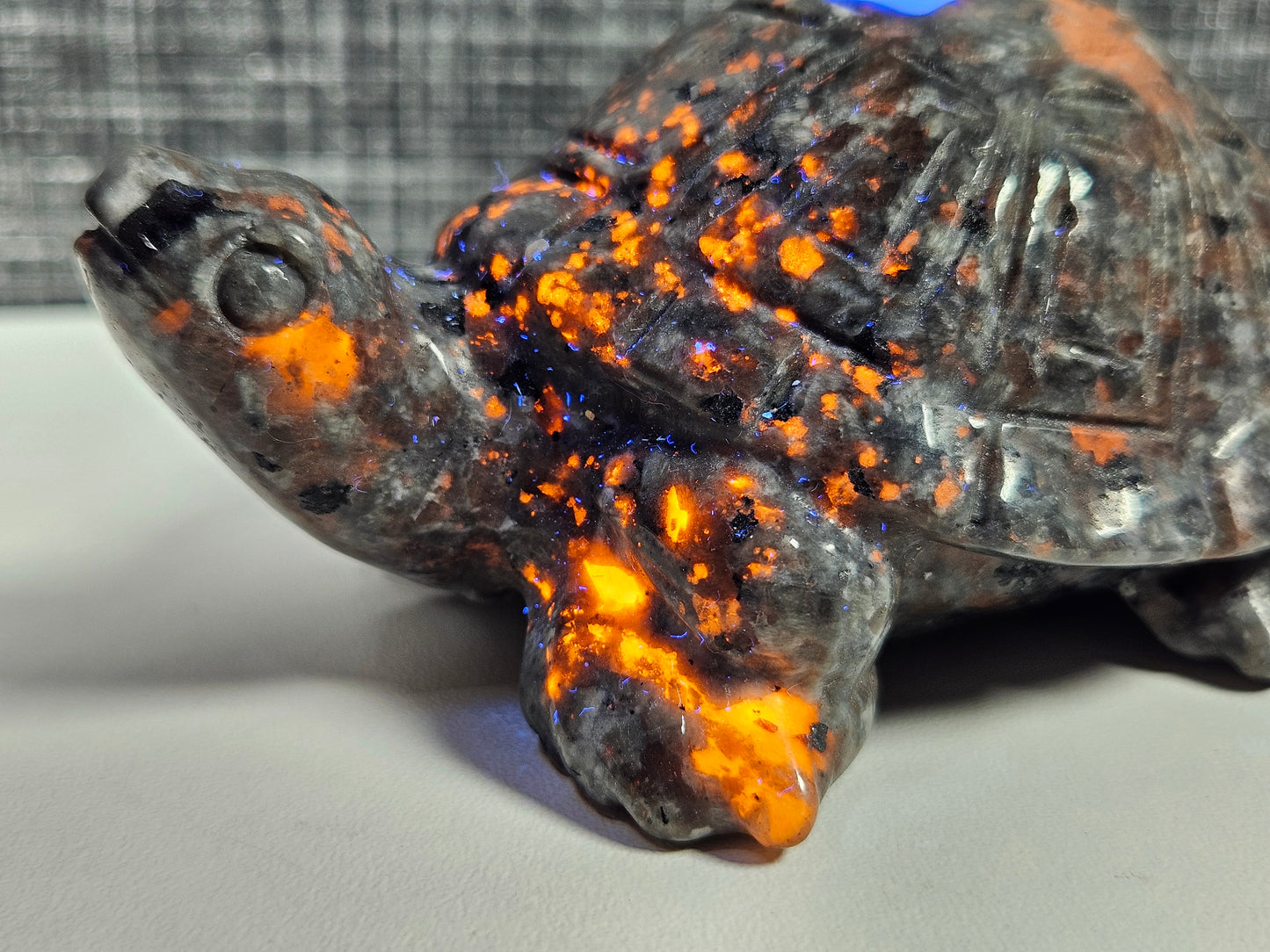 Yooperlite schildpad 296 geam