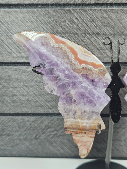 Amethist/Crazy Lace vlinder 94