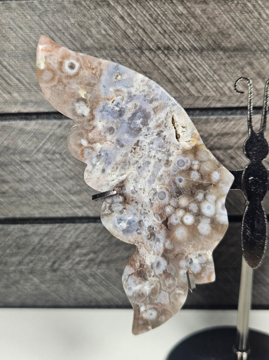 Bloemagaat vlinder 166