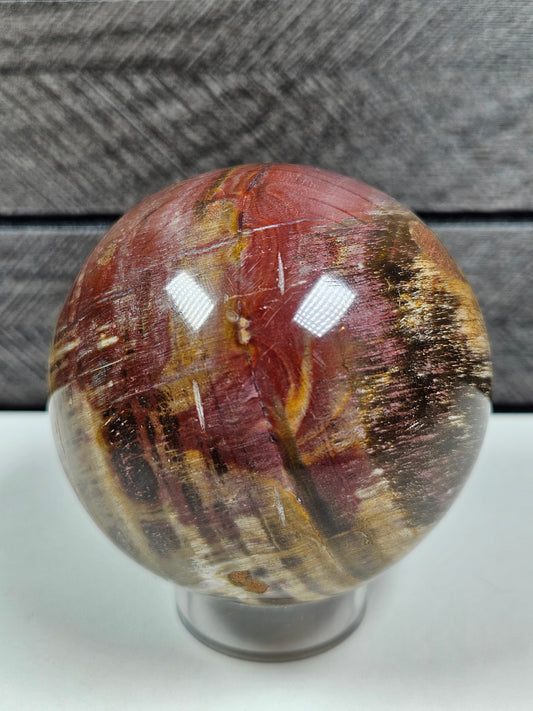 Versteend Hout bol 362 gram