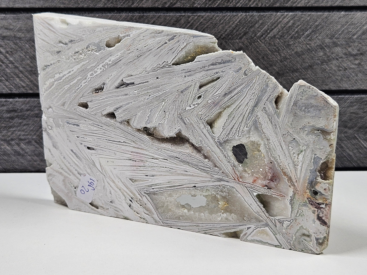 Witte Crazy Lace slab 198 gram