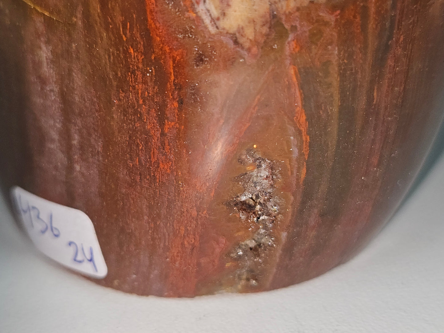 Versteend Hout Sculptuur 436 gram