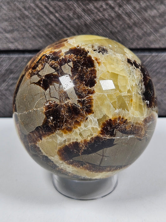 Septarie bol 386 gram
