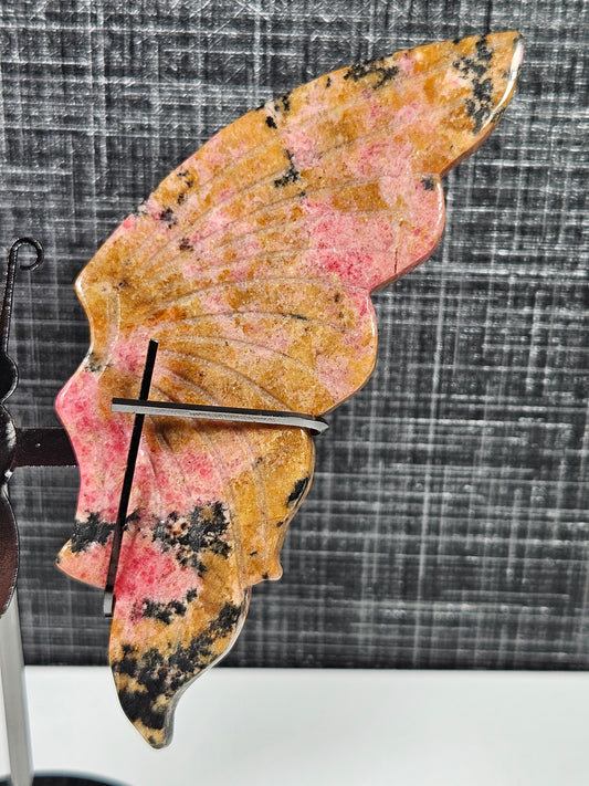 Rhodoniet vlinder A5