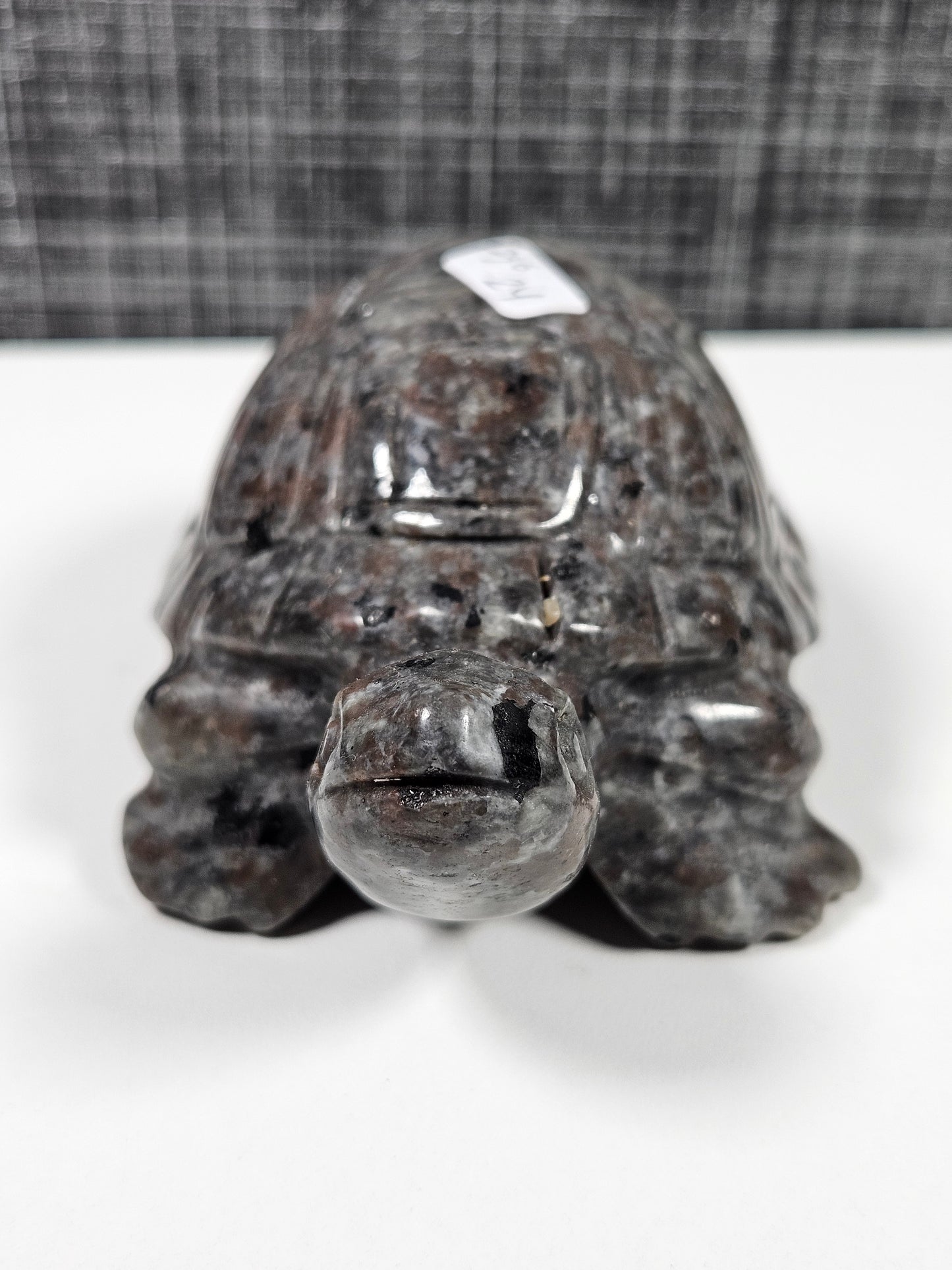 Yooperlite schildpad 296 geam