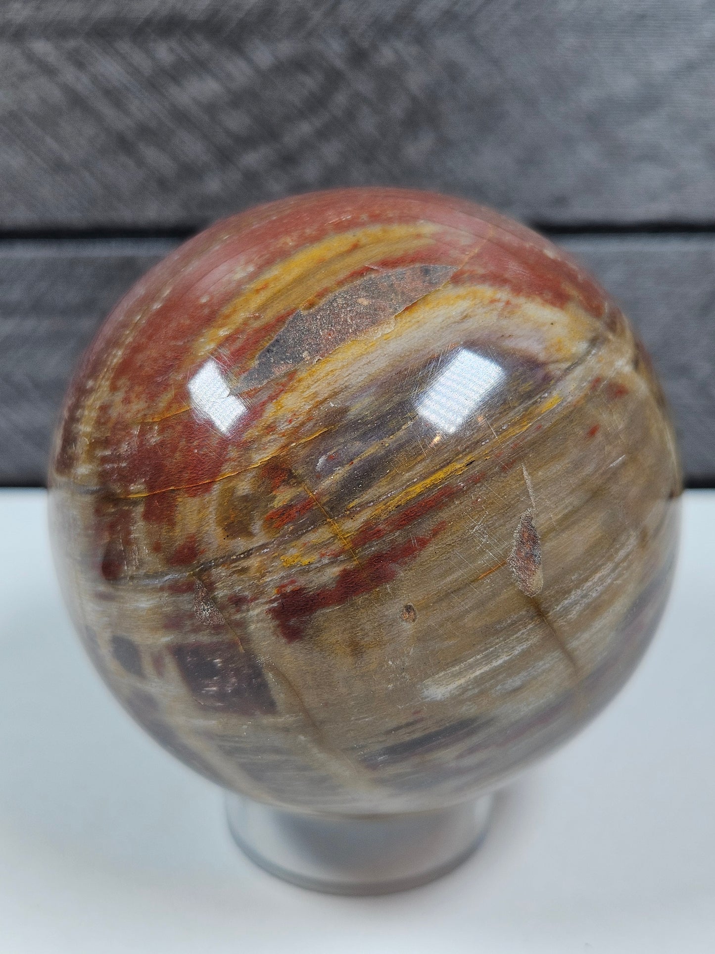 Versteend Hout bol 362 gram