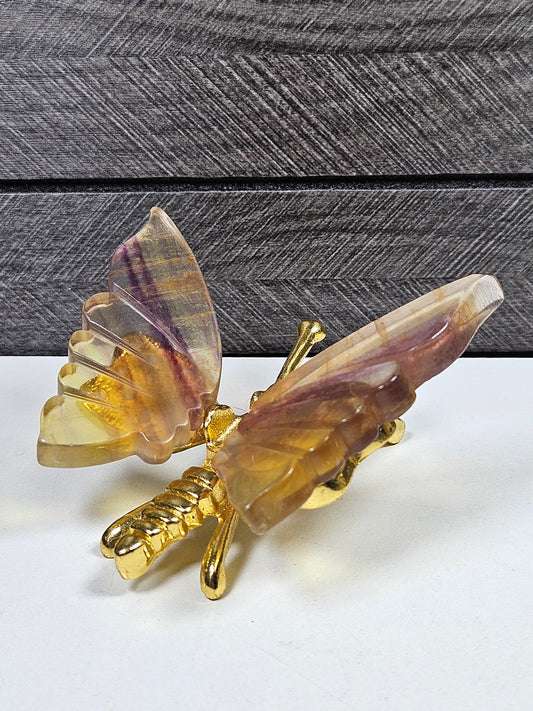 Fluoriet vlinder goud lijfje nr2