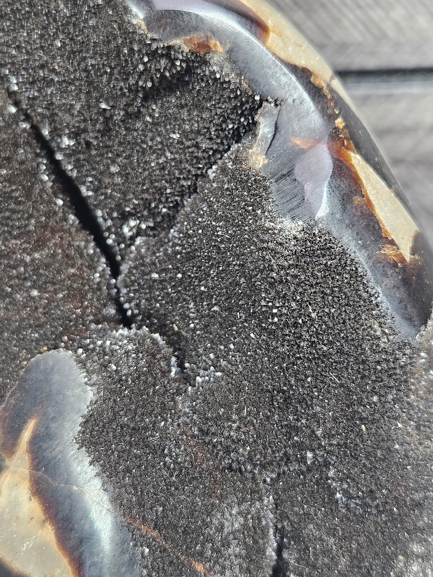 Septarie op standvlak 982gram