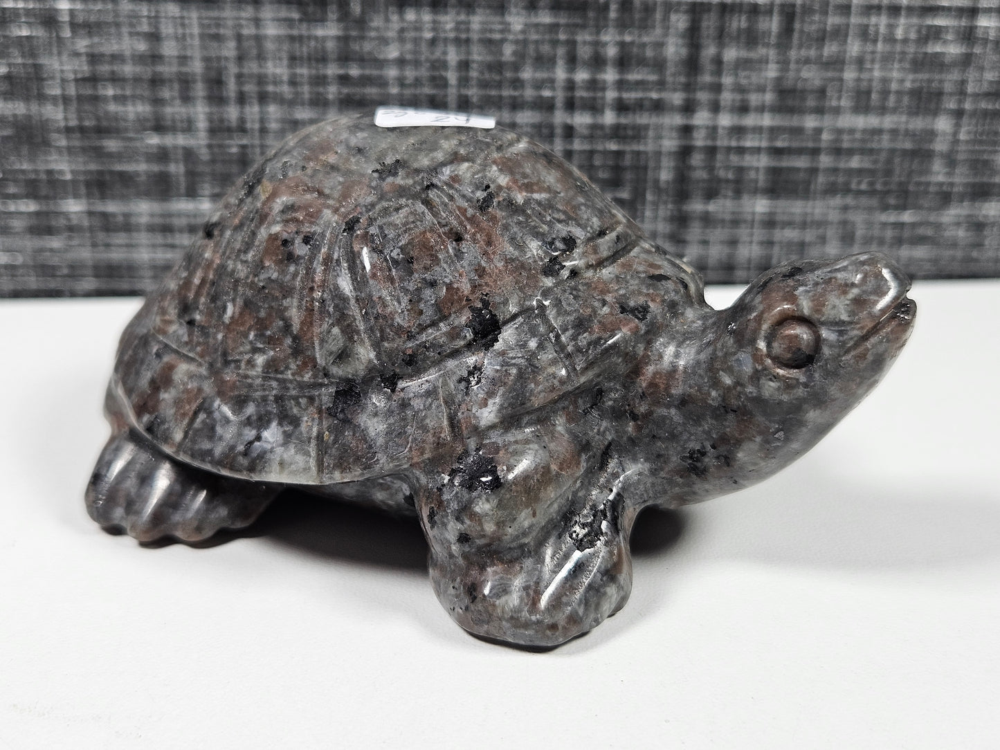 Yooperlite schildpad 296 geam