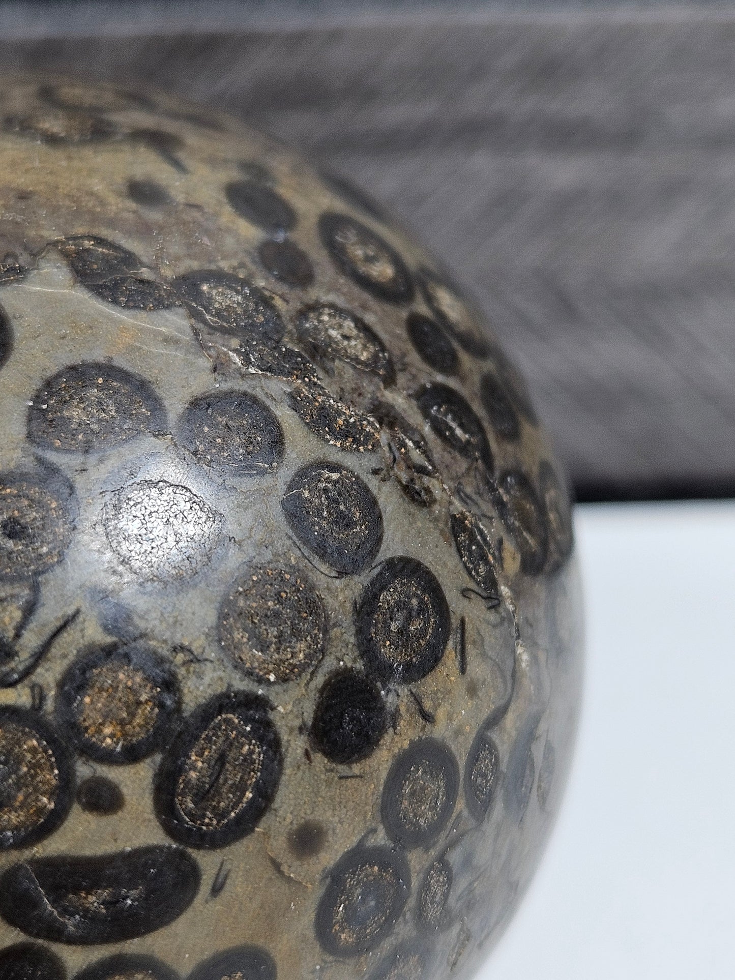 Leopard Skin Jasper bol 214 gram