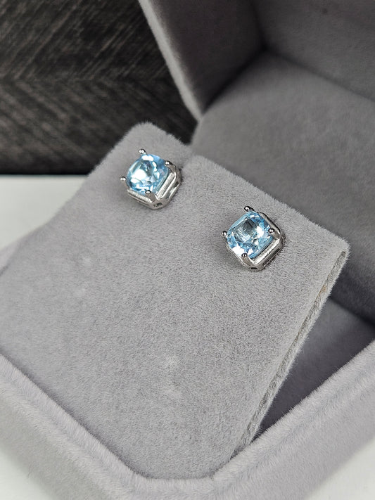 Topaas s925 (zilver) oorbellen nr13