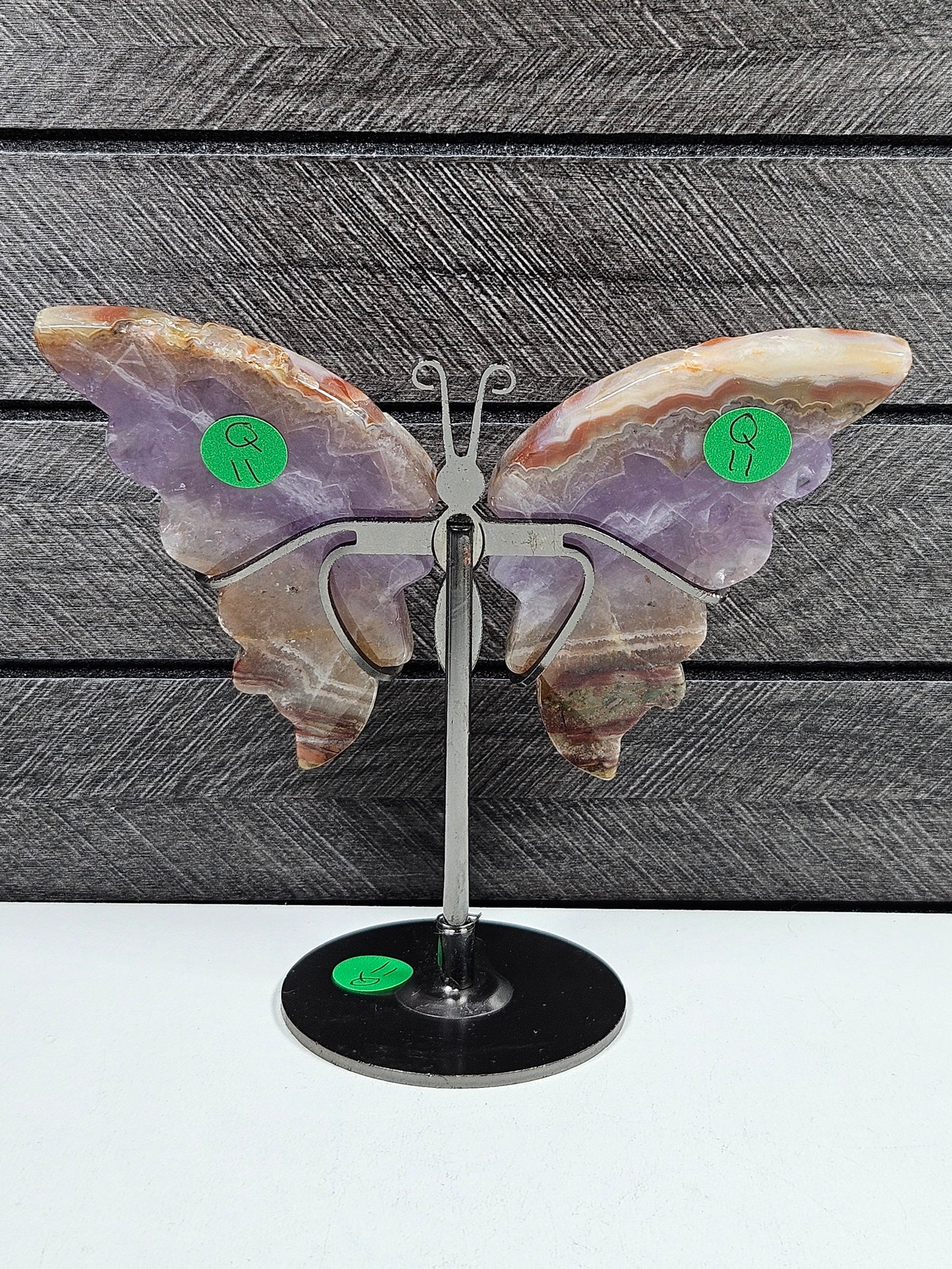 Amethist/Crazy Lace vlinder Q11