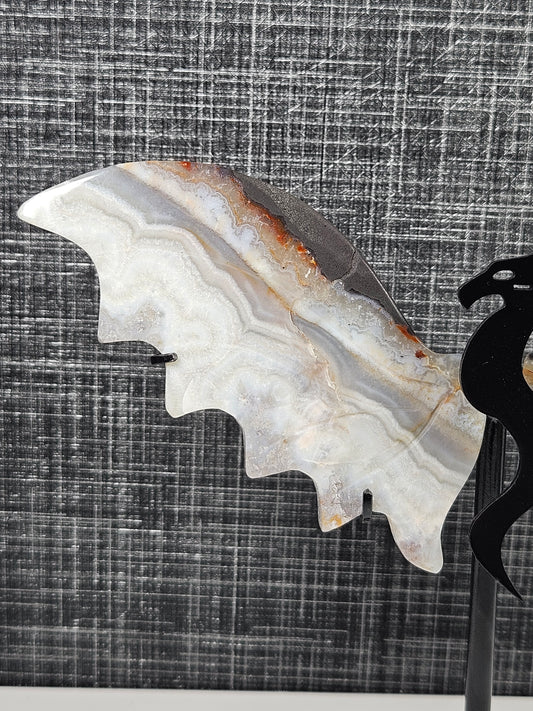 Mexicaans Agaat draak nr215