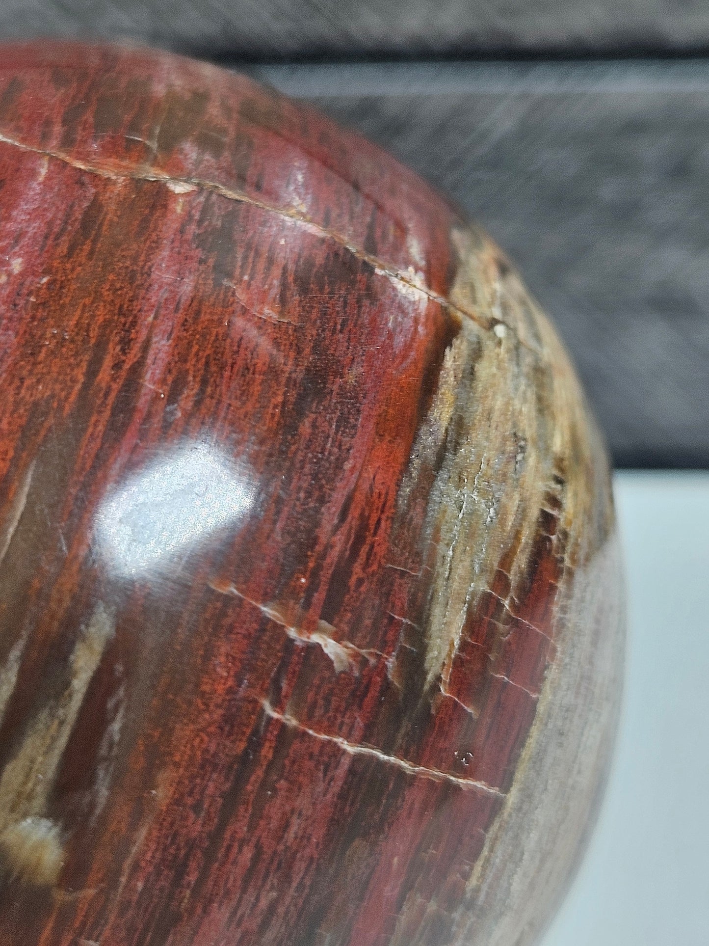 Versteend Hout bol 442 gram