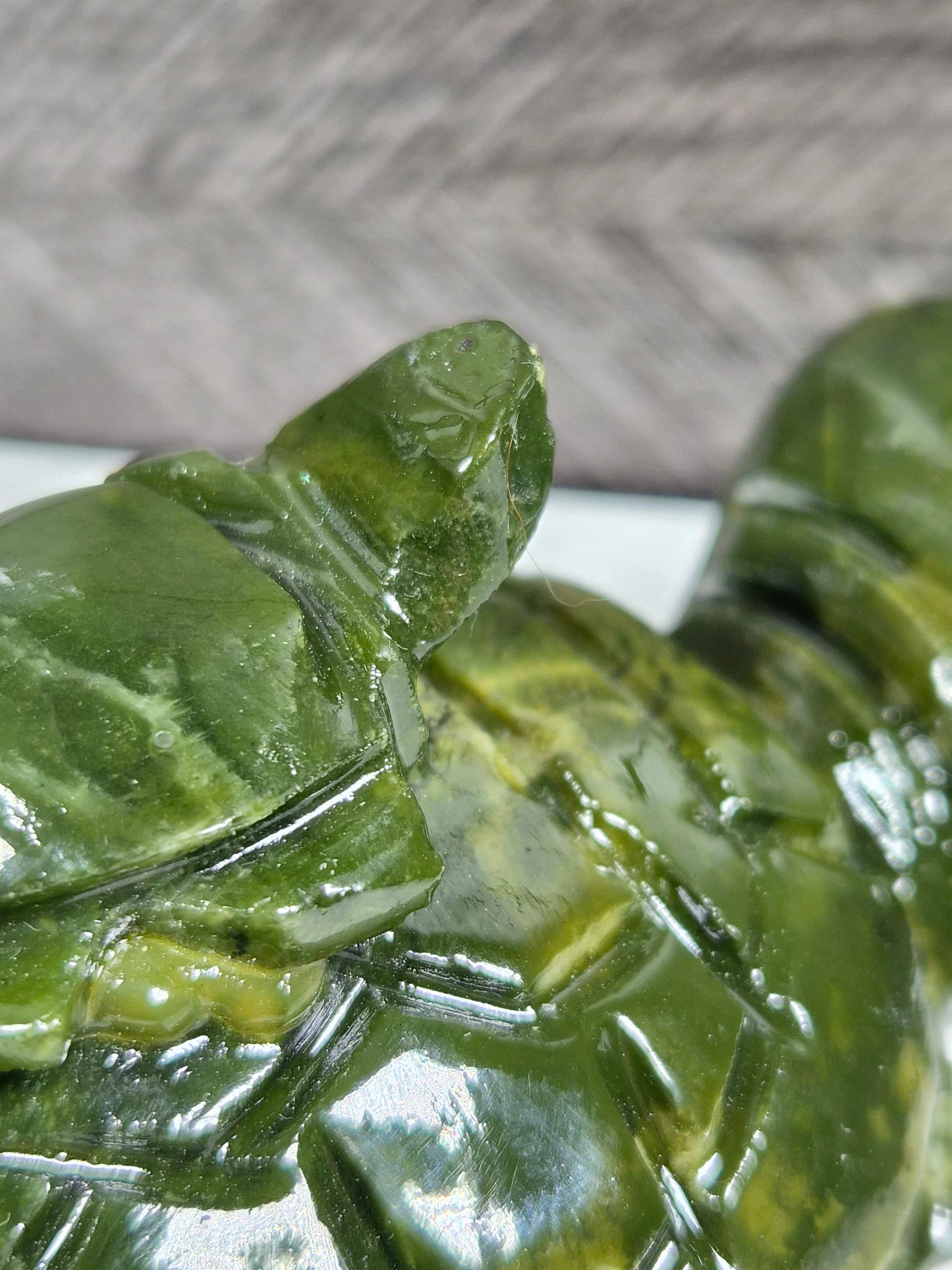 Groene Jade Schilpad Ouder en Kind