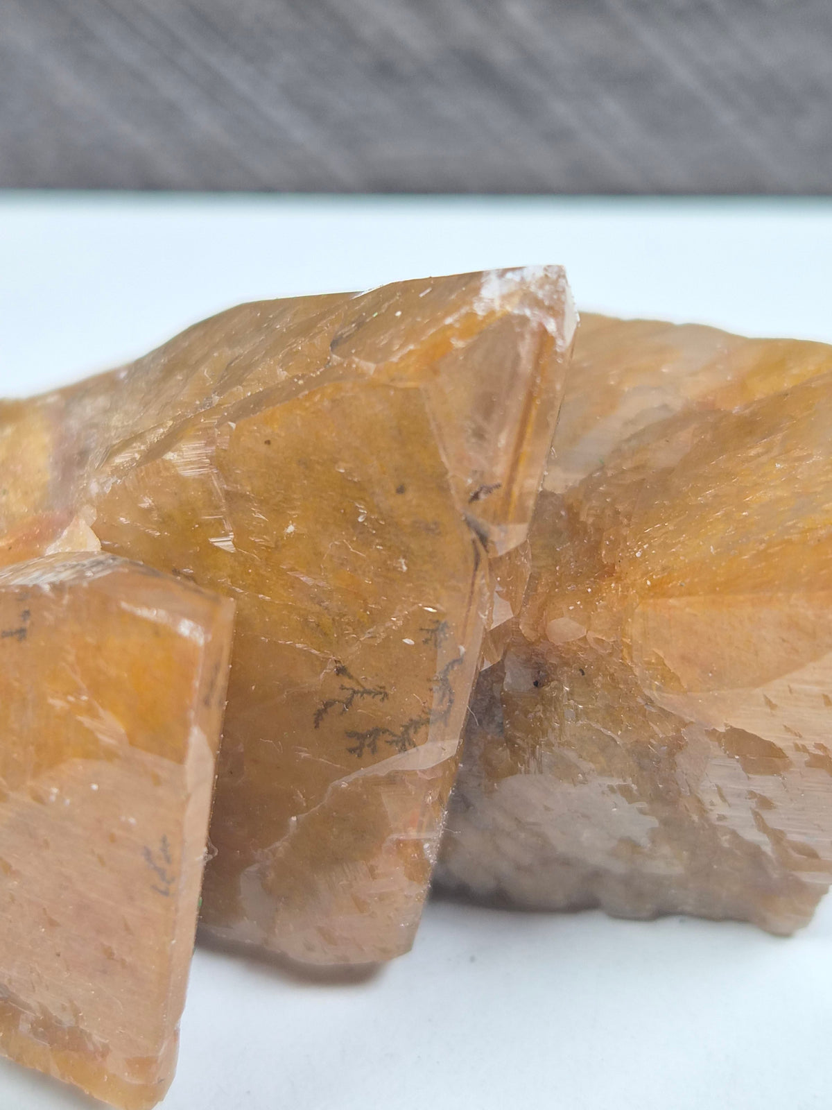 Amber Calciet met Dendriet 114 gram
