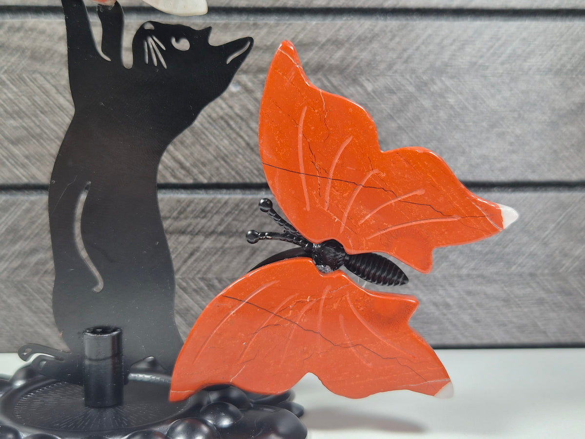 Rode Jaspis Vlinders met Kat