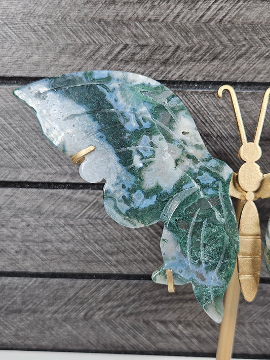 Mosagaat vlinder T63