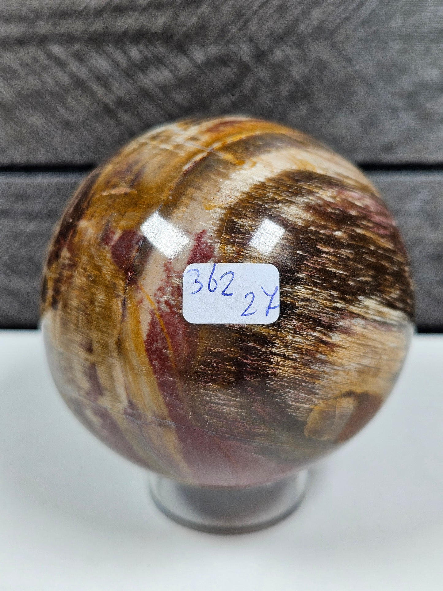 Versteend Hout bol 362 gram