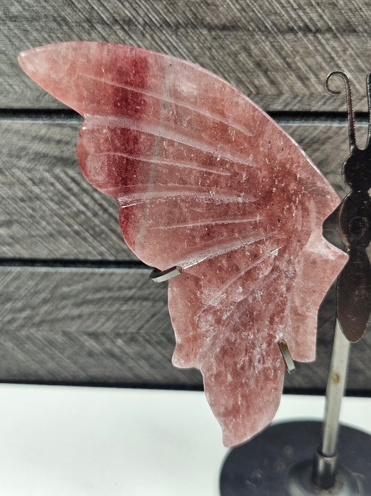 Aarbeienkwarts vlinder C2