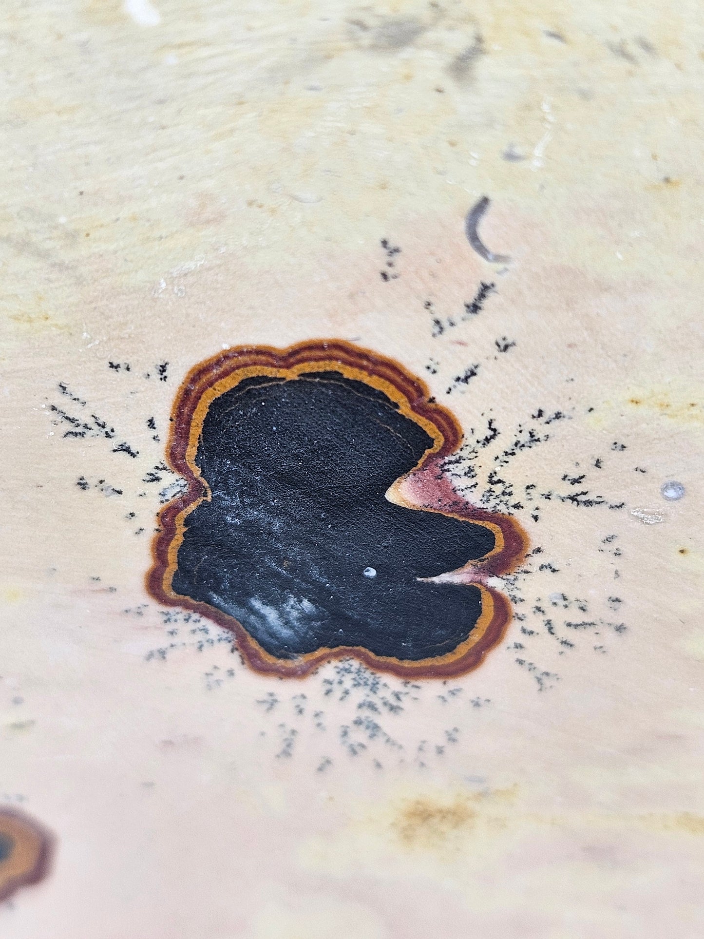 Landschapsjaspis slab 362 gram