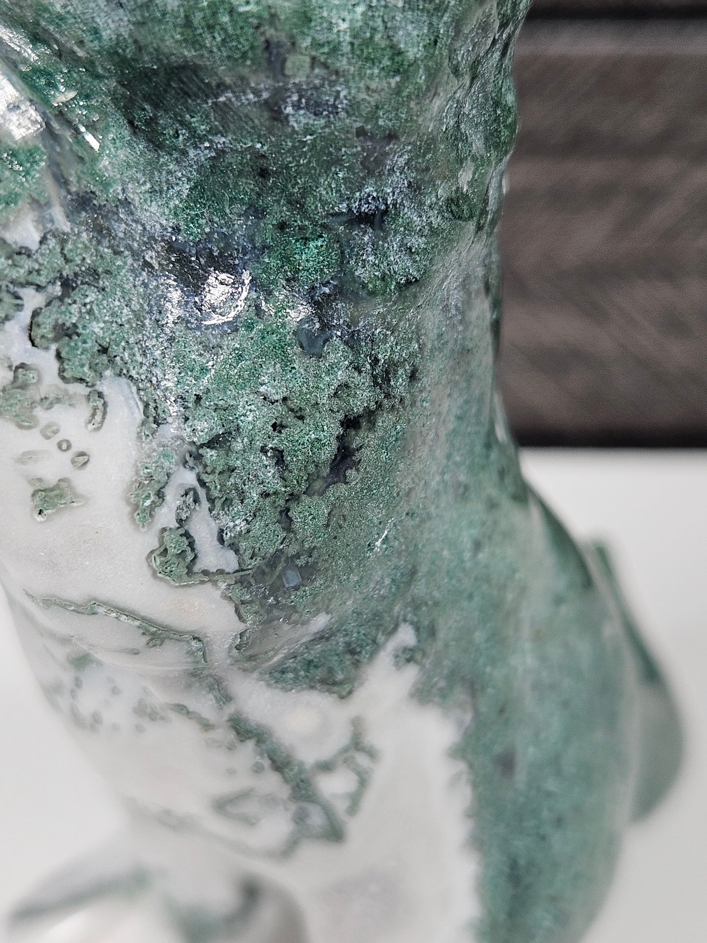 Mosagaat Bedelende Kat nr1