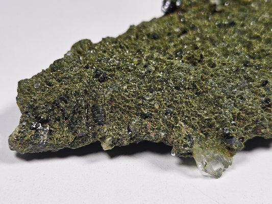 Forest Epidoot 158 gram